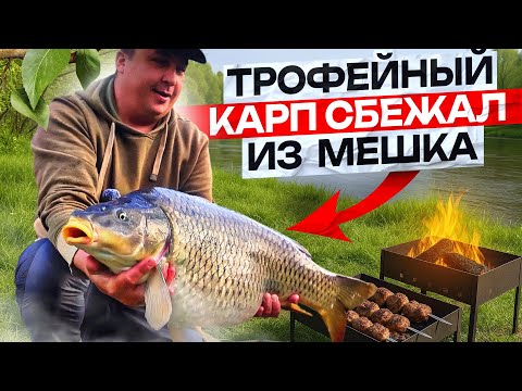 Видео: Трофейный карп 15+ убежал из мешка.  Весенний карпфишинг на дикаре в дружной компании.