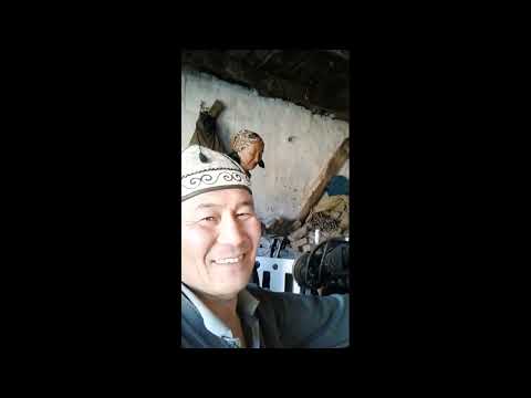 Видео: Алтын Энем..биз учун канча чачын агарды экен..2025..