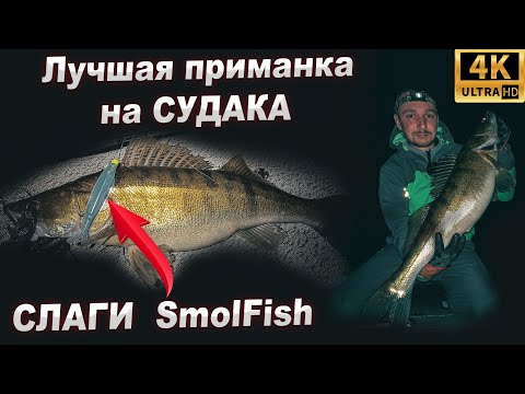 Видео: Лучшая приманка на судака! Ловля судака на слаги SmolFish