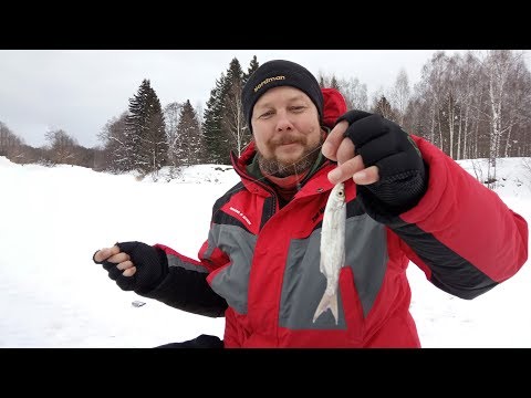 Видео: Ловля уклейки зимой на летнюю снасть. Рыбалка на малой реке