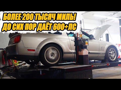 Видео: Самый дешевый Shelby GT500 в США с пробегом 210 тысяч миль, который ВАЛИТ!