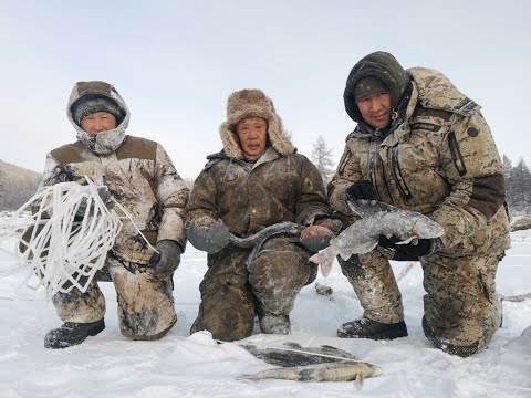 Видео: Трофейные рыбы Себяна. Это рай для рыбака.