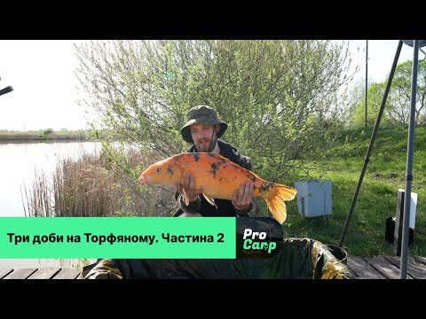 Видео: Три доби на Торфяному. Частина 2. Відповіді на запитання.