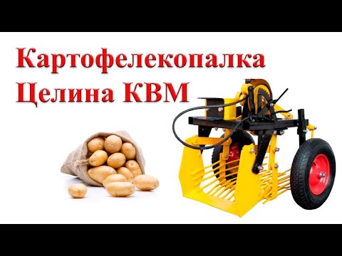 Видео: Картофелекопалка Целина КВМ 01,02
