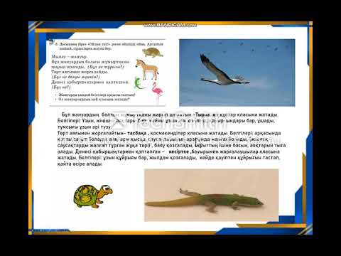 Видео: 2- сынып Жаратылыстану  7 - сабақ