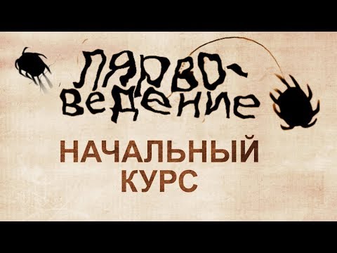 Видео: Лярвоведение. Начальный курс