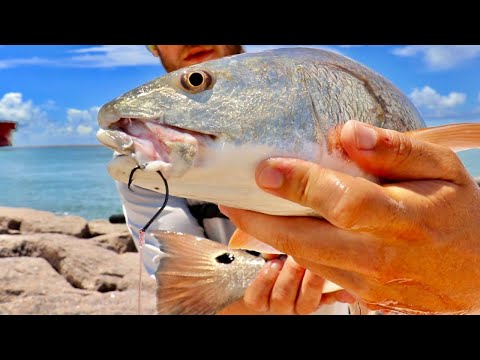 Видео: 3 лучших крючка для ловли рыбы с берега и с причала