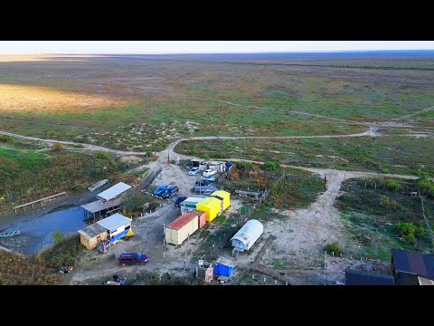 Видео: Ноябрьская рыбалка на дикого сазана.  02-11-24