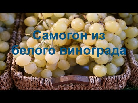 Видео: Самогон из белого столового винограда