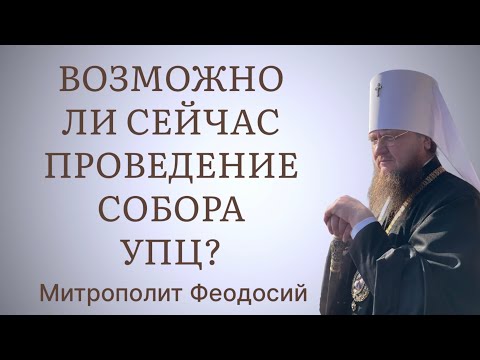 Видео: Митрополит Феодосий об инициативе скорого проведения Собора УПЦ (Киев, домашний арест, 31.07.2023)