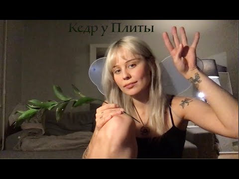 Видео: Кедр у плиты /выпуск 4