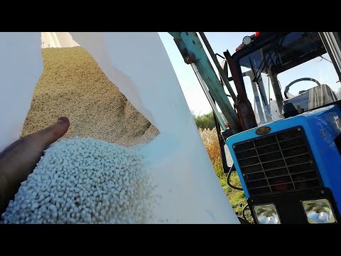 Видео: Внесение сложных удобрений под пахоту. Вносим Сульфоаммофос.