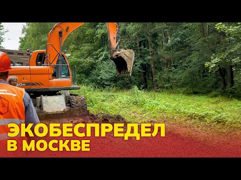 Видео: Экологический беспредел в Москве