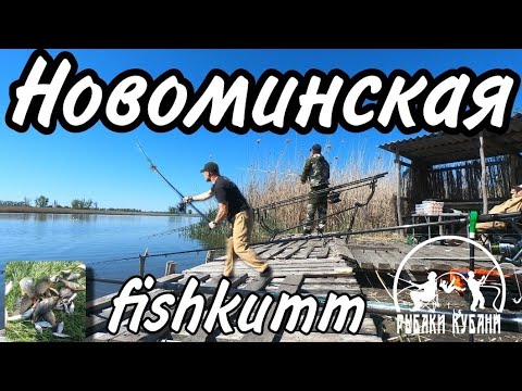 Видео: РЫБАЛКА КАНЕВСКОЙ РАЙОН - ПЛАТНИК FISHKUMM