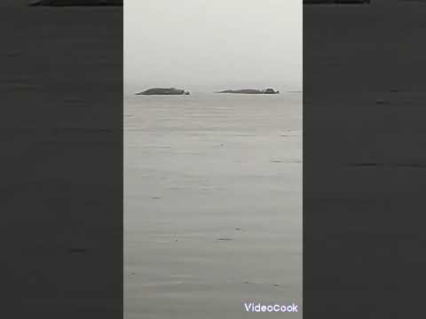 Видео: ⚠️Рудный,паводки⚠️,подтопление парка аттракционов.Тобол вышел из берегов⚠️.#весна2024 #Алекс_юстасу