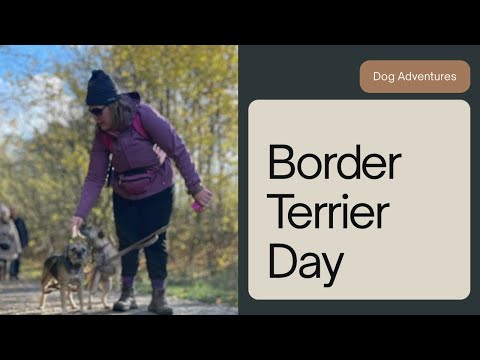 Видео: Воскресный видеоблог Mounjaro — 2 ноября — Королевское общество защиты птиц (RSPB) Олд-Мур и озер...