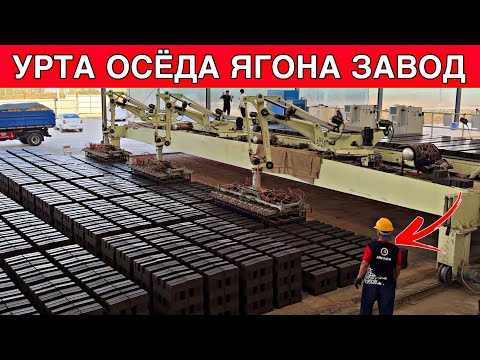 Видео: КУНИГА 500000 МИНГТА ПИШИГ ГИШТ ЧИКАДИ ОРТА ОСИЁДА ЯГОНА / БУНАКАСИ БОМАГАН 