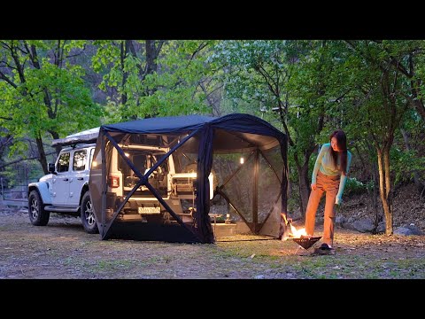 Видео: Отдых на природе Идеальный одиночный кемпинг в уютной черной палатке-укрытии / природа ASMR