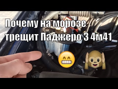 Видео: Почему на морозе трещит Паджеро 3 4м41 zexel vrz did дизель?