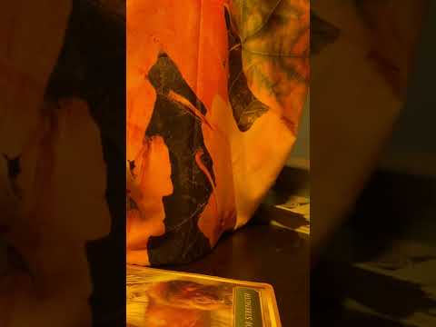 Видео: ОДЕРЖИМОСТЬ!!! Преследование Близнецовых Пламен и попытка ЗАСТАВИТЬ переделать временную линию! (...