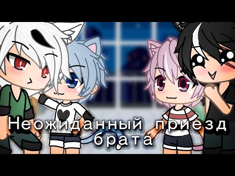 Видео: Неожиданный приезд брата (2/2) [коротко]
