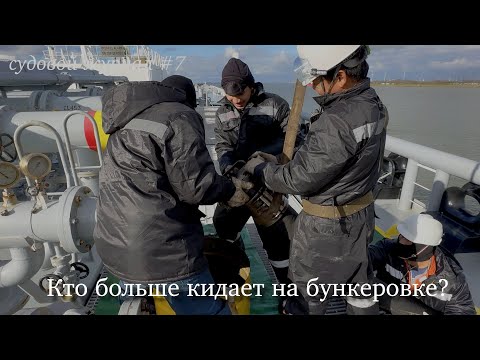 Видео: Польша или Голландия? Где больше воруют бункеровщики #4k