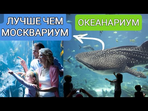 Видео: Москва-океанариум Крокус Сити, круче чем Москвариум?|Куда сходить с детьми в Москве?