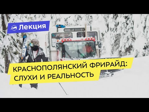 Видео: Краснополянский фрирайд: слухи и реальность