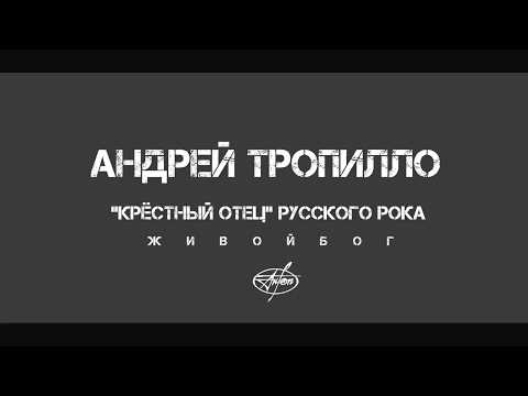 Видео: Андрей Тропилло об истинной причине гибели Виктора Цоя...