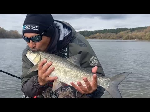 Видео: РЫБАЛКА НА СПИННИНГ /РЕКА ОКА. РАЗДАЧА ЖЕРЕХА! ОЧЕРЕДНОЙ ТРОФЕЙ. #NEKFISH 