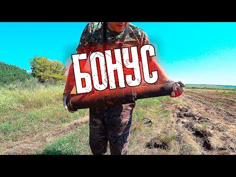 Видео: ХОРОШИЙ БОНУС НА КОПЕ металла В ПОЛЕ ...