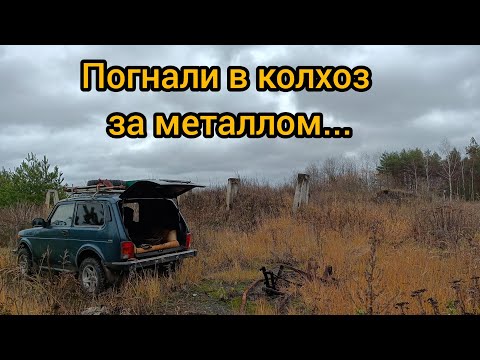 Видео: Поиск металла в разрушенном колхозе..