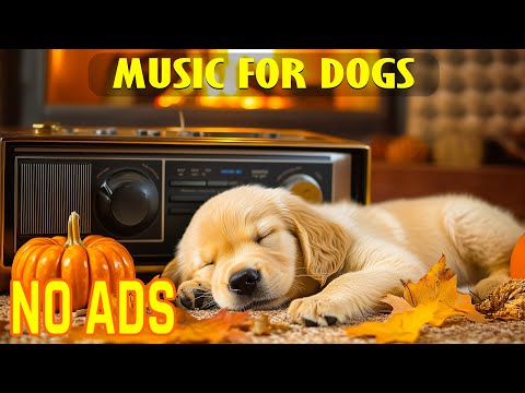 Видео: Релаксационная терапия с собакой | Непрерывное круглосуточное управление стрессом #собачьятревожност