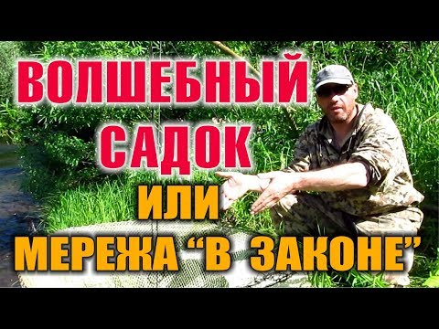 Видео: ЛОВУШКИ НА РЫБУ - РЫБОЛОВНЫЙ САДОК - МЕРЕЖА в законе. Как поймать рыбу без удочки. Бушкрафт.
