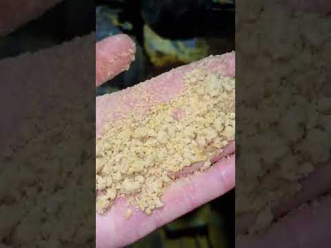 Видео: Виробництво соевого жмиху.