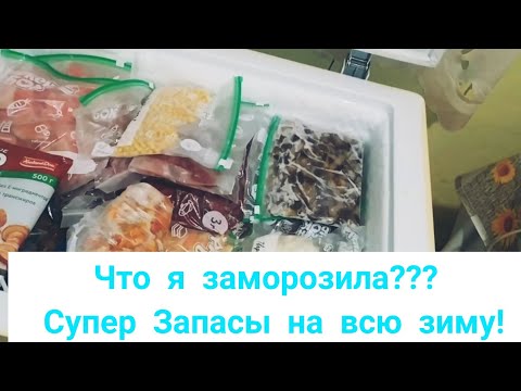 Видео: Что в моей морозилке. Экономия семейного бюджета. Как сохранить витамины по максимуму на зиму