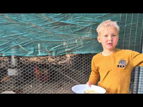 Видео: Фаюми, сицилийские лютики и обнаженные шеи