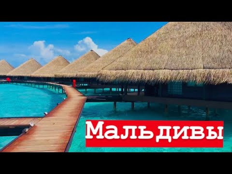 Видео: Почему все хотят на МАЛЬДИВЫ Вилла на ВОДЕ сколько стоит Adaaran club Rannalhi Resort