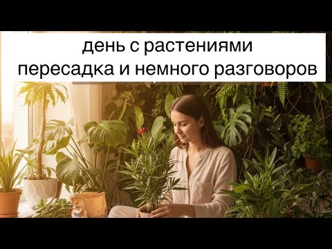 Видео: 🌸 «Наконец-то делаю то, что откладывала»