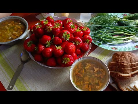 Видео: Грибалка!🍄Неожиданная встреча в лесу😁 Пицца с лисяндрами 🍕