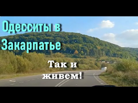 Видео: Садовый центр "Квіти Закарпаття" неприятно удивил ценами. Выбираем чугунную печь. Грибное изобилие.