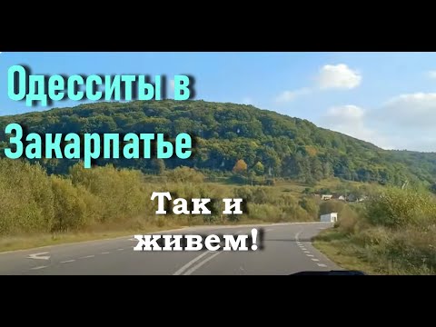 Видео: Садовый центр "Квіти Закарпаття" неприятно удивил ценами. Выбираем чугунную печь. Грибное изобилие.