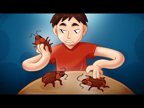Видео: ПОЙМАЙ ХРУСТЯЩЕГО ТАРАКАНА АДСКИМИ РУКАМИ!!!