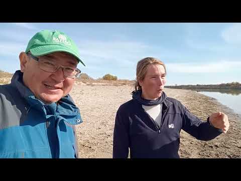 Видео: VELOTUR.KZ // Река Сырдарья: Падение уровня воды в основном русле
