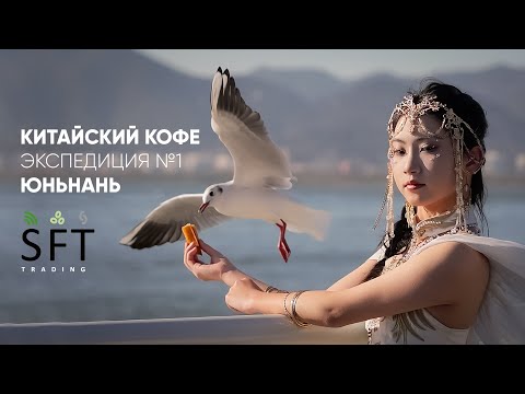 Видео: Китайский кофе | Экспедиция №1 | Юньнань