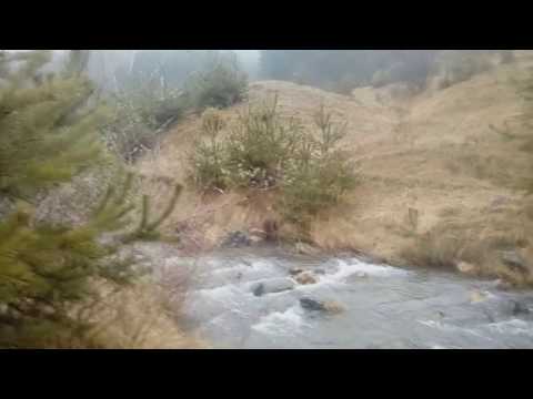 Видео: Ярлово Предложение СФБ 2017