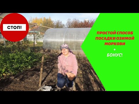 Видео: Простой способ посадки озимой моркови