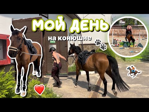 Видео: vlog: мой день на конюшне | первая конкурная тренировка | КСК Левадия - НКП Русь