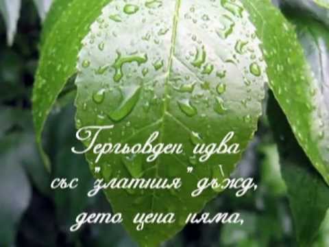 Видео: Зелен, зелен Гергьовден!