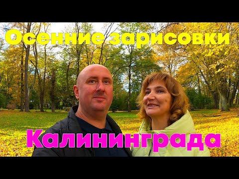 Видео: Осенние зарисовки Калининграда